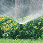 Close up of 57OS sprinkler system watering plants