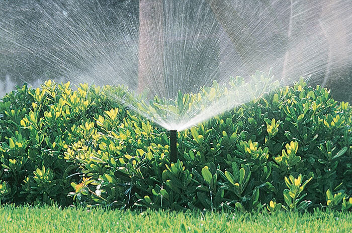 Close up of 57OS sprinkler system watering plants