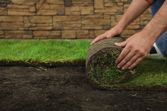 hands rolling out grass on a patch of dirt