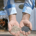 two hands with palms up filled each with two different nitrogen pellets