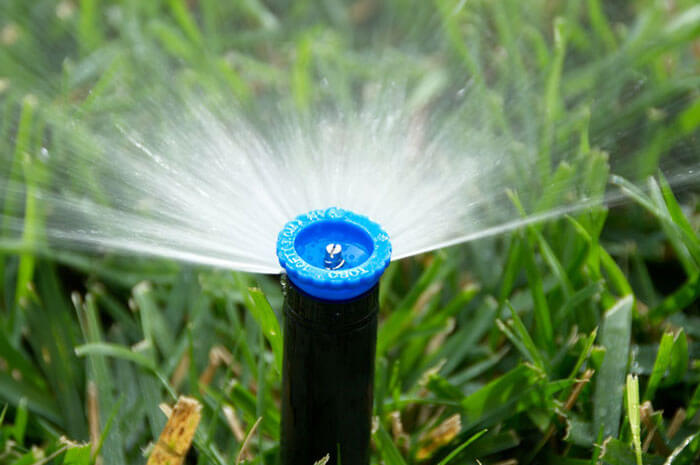 Close up of blue irrigation nozzle