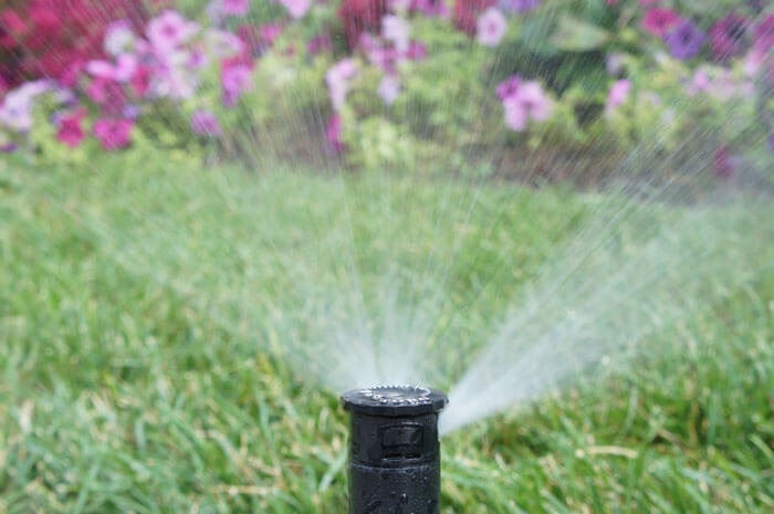 Close up of the Sprinkler head