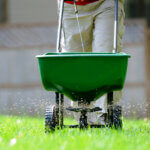 Close up of green fertilizer spreader in front yard