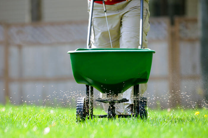 Close up of green fertilizer spreader in front yard
