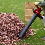 Person holding leaf blower in front of pile of leaves