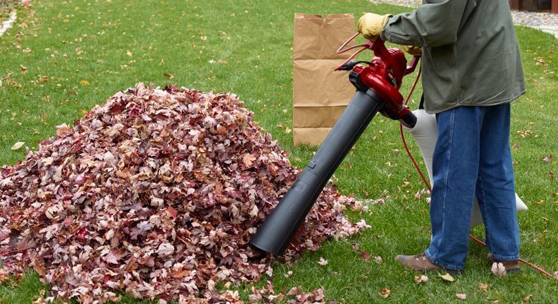 Person holding leaf blower in front of pile of leaves