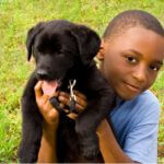 Child posing with black lab puppy
