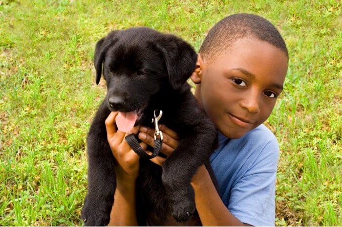 Child posing with black lab puppy