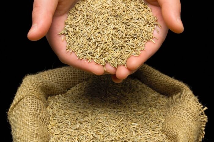 Up close image of hands scooping up a pile of seeds from a burlap sack