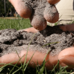 Close up of hands sifting through soil