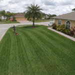 Man striping lawn with palm trees in the background