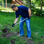 Man using shovel to topdress lawn
