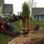 Toro Dingo removing tree from yard