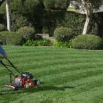 Lawnmower striping lawn