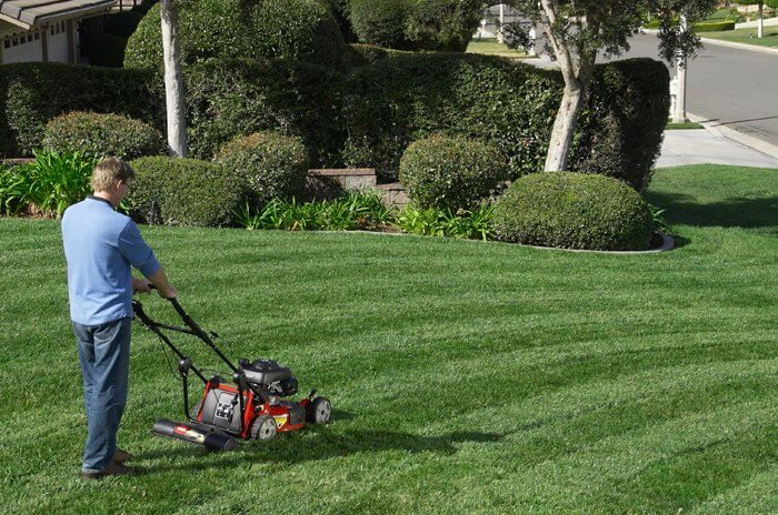 Lawnmower striping lawn