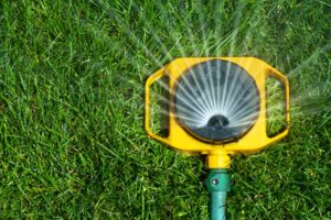 How to Care for a New Lawn or New Sod | Toro YardCare