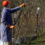 Person wearing safety clothing doing yard work