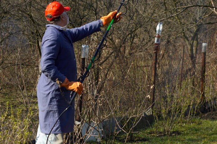 Person wearing safety clothing doing yard work