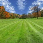 Freshly mowed, green grass surrounded by trees with leaves turning colors and a blue sky