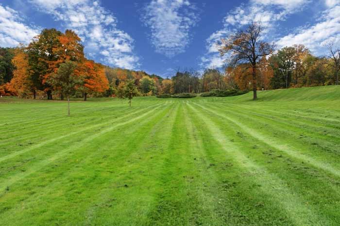 Freshly mowed, green grass surrounded by trees with leaves turning colors and a blue sky