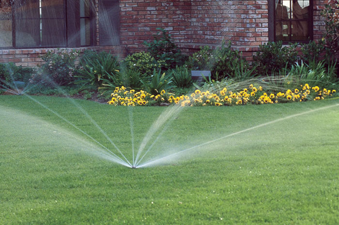 Sprinkler in the center of a yard watering lush green grass with a brick house in the background with yellow flowers and bushes