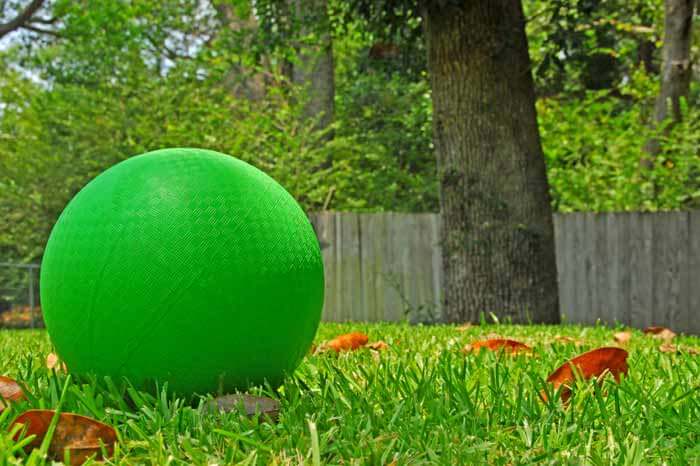 Close up of green kickball in the grass of a fenced in backyard