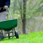 Man spreading fertilizer in yard