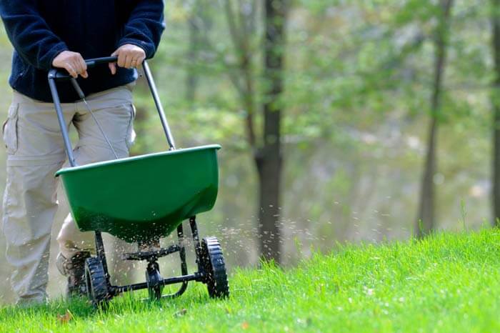 Man spreading fertilizer in yard