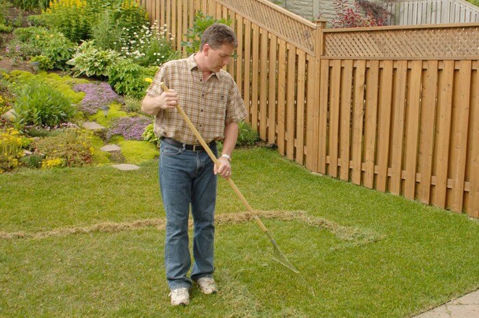 Man removing thatch from yard with rake