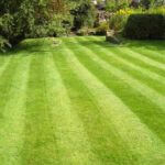 Freshly striped green lawn featuring woman sitting in patio chair