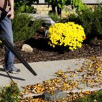 Man using leaf blower to clear sidewalk of leaves