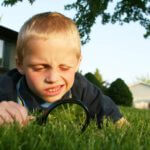 Child using magnifying glass to look for insects in grass