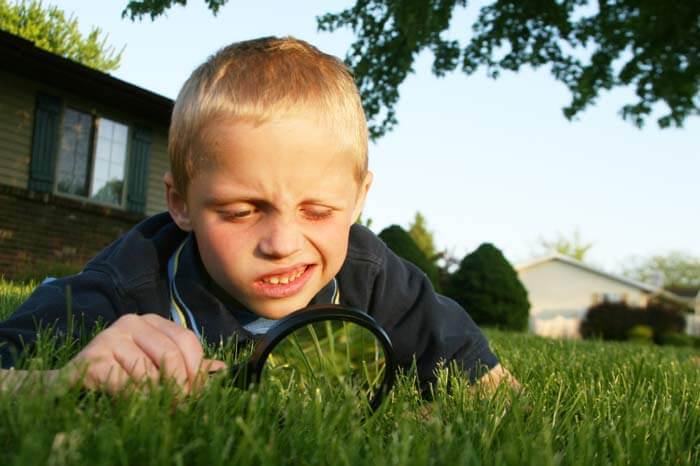 Child using magnifying glass to look for insects in grass