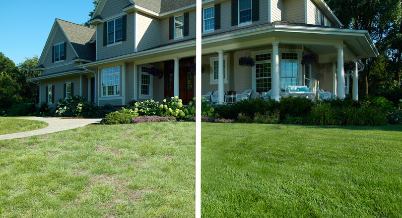 Side by side photo, on the left is a home with dead grass and on the right is the same home with lush green grass