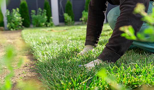 Hands in the grass