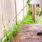 A man spraying weeds with herbicide along a fence line