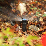 sprinkler head sticking up through mulch